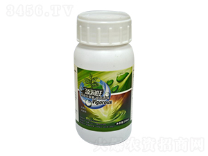 核動(dòng)分裂素-申晶雅