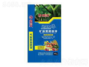 �VԴ�S�����-�����S-���r(n��ng)����