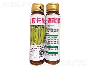 �����ֱ���L��-�h�滯��