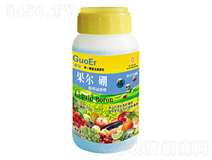 250g�����Ǵ���ˮ����-��ꖉ�