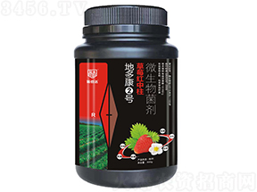 草莓紅中柱專用微生物菌劑-地多康2號(hào)-瑞倍達(dá)