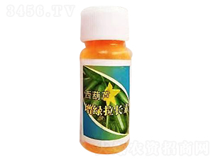 西葫蘆增綠拉長素-漢奇化工