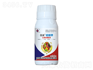 ���������-�v�S�r(n��ng)�I(y��)