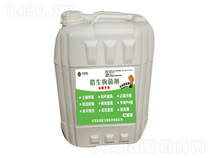 微生物菌劑-悶棚專用-金微肽