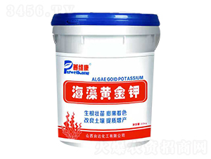 �����S���-�վS��-�_�_(d��)�ʘI(y��)