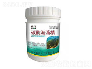 ̼ø���徫-ِ��-�_(t��i)�_(d��)�ʘI(y��)