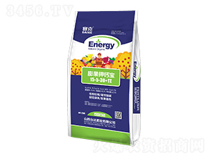 �����}��15-5-30+TE-ِ��-�_�_(d��)�ʘI(y��)