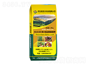 大（?。┢劬伏S腐酸鉀-恒興科技