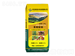 黃腐酸鈉-恒興科技