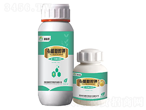 �ЙC(j��)�Ǵ��-������