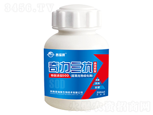 奇力三抗-普瑞琪