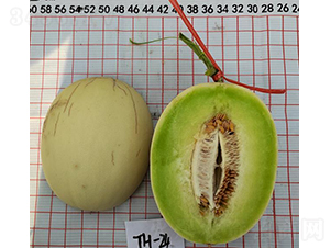 ������-��ϷN��-��(y��u)�Π�����