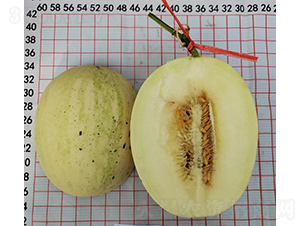 ����25����-��ϷN��-��(y��u)�Π�����