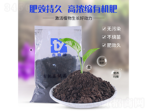 �ߝ�s�ЙC����-����