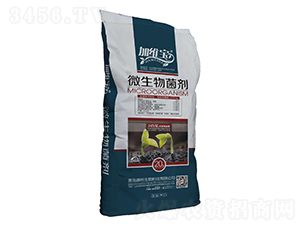 �ͺ�΢�������-��������