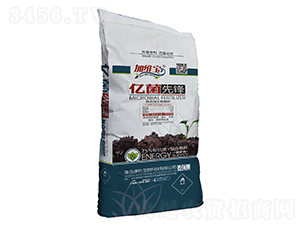 75%�ЙC(j��)�|(zh��)-�|�����h-��������