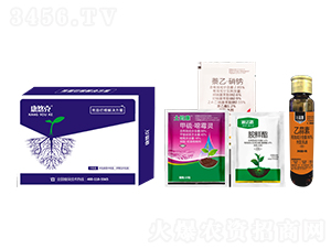 ���ƿ����砀����Q����-�Ϸ�·