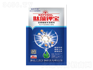 ����⛌�-�������