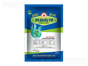 �S�����-�������