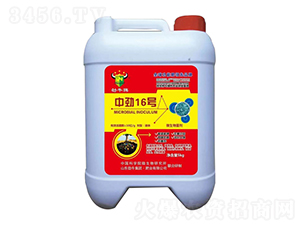 �Є�16̖΢�������-��ţ