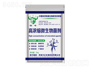 �ߝ�s΢�������-��ţ