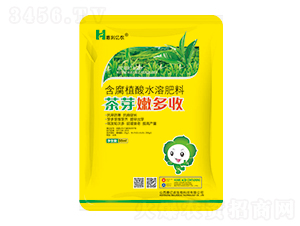 ��ѿ�۶���-�݃|�r(n��ng)