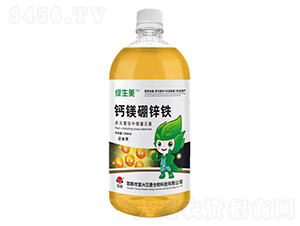 �}�V���\�F-�G����-�h��