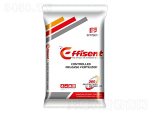 ��ጷ���14-14-14-������