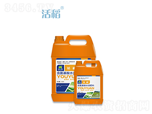 ��������ˮ�ܷ���-�-�Ʒ�����