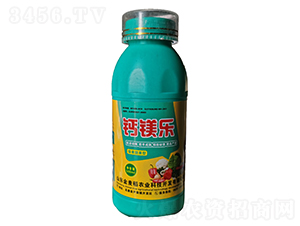 �}�V��(l��)-������