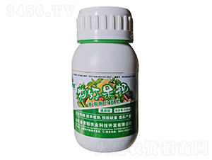 ���ù��n�S�����~���-������