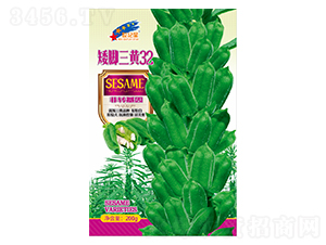 ���_���S32-֥��N��-�Aһ�N�I(y��)