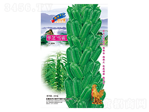 �A֥ѩ��-֥��N��-�Aһ�N�I(y��)