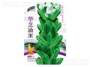 �A֥��EE-֥��N��-�Aһ�N�I(y��)