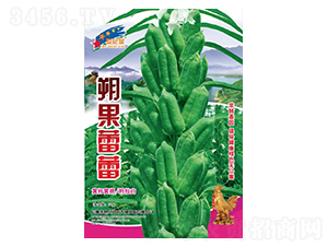 ˷������-֥��N��-�Aһ�N�I(y��)