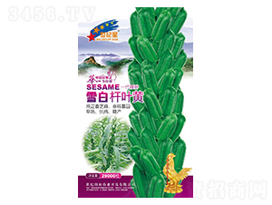 ѩ�חU�~�S-֥��N��-�Aһ�N�I(y��)