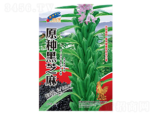 ԭ�N��֥��-֥��N��-�Aһ�N�I(y��)