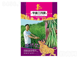 �A�������S-�Ͳ˷N��-�Aһ�N�I(y��)