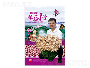 �Ż�1̖-�����N��-�Aһ�N�I(y��)