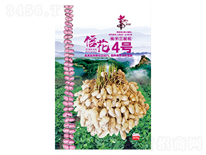 �Ż�4̖-�����N��-�Aһ�N�I(y��)