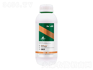 ���͡�����-�ϸ�