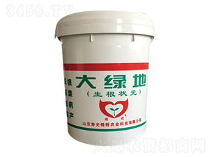 大綠地（生根狀元）-錦程農(nóng)業(yè)