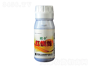 �t֩��-�W��