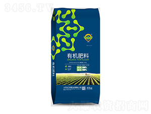 �ЙC(j��)����-�|���ʘI(y��)