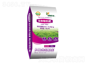 �����ЙC��-�|���ʘI(y��)