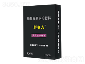 ���ϴ󵰰׺�С����-�|¡�r(n��ng)�I(y��)