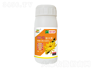 �ջ������-����