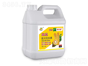 ����������L��-����