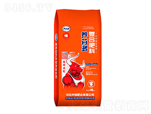 �B(y��ng)�Ҷ���(f��)�Ϸ���-�к�ʘI(y��)