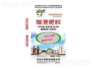 �������28-12-10-�к�ʘI(y��)